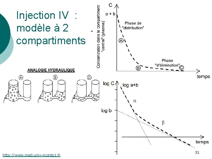 Injection IV : modèle à 2 compartiments http: //www. med. univ-montp 1. fr 31