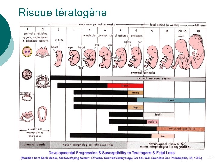 Risque tératogène 33 