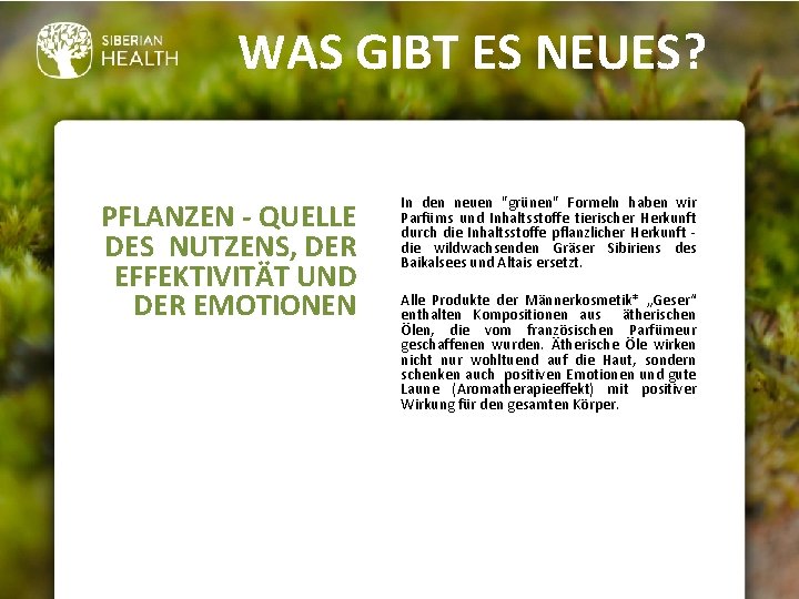 WAS GIBT ES NEUES? PFLANZEN - QUELLE DES NUTZENS, DER EFFEKTIVITÄT UND DER EMOTIONEN