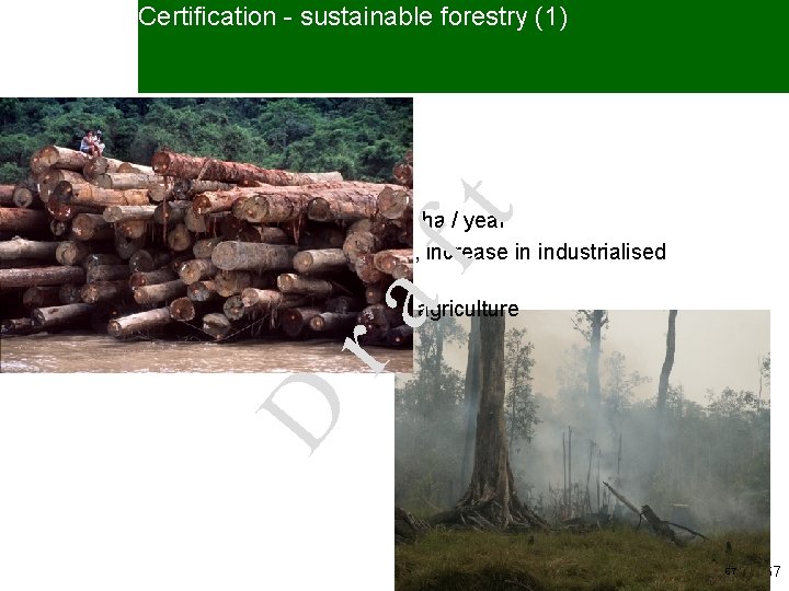 Certification - sustainable forestry (1) D ra ft • The problems: – net loss
