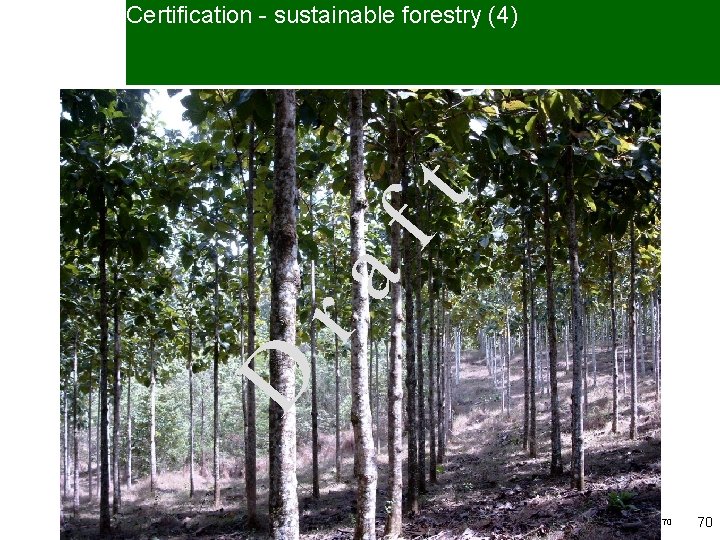 Certification - sustainable forestry (4) D ra ft • Requirements for certificate – existence