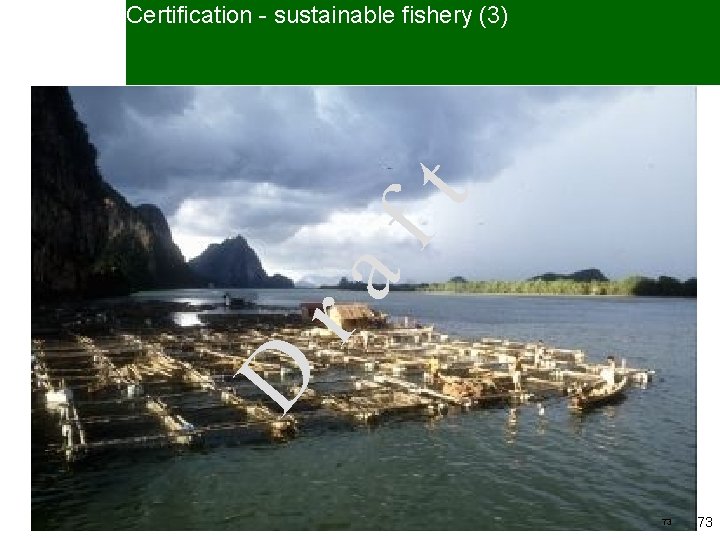 Certification - sustainable fishery (3) D ra ft • Criteria: – healthy fish stock