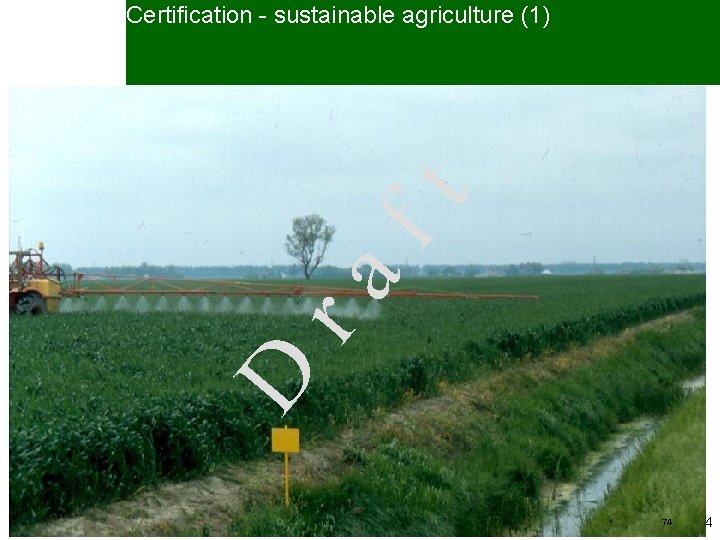 Certification - sustainable agriculture (1) D ra ft • Organic versus current agriculture –