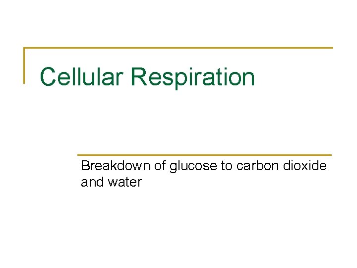 Cellular Respiration Breakdown of glucose to carbon dioxide and water 