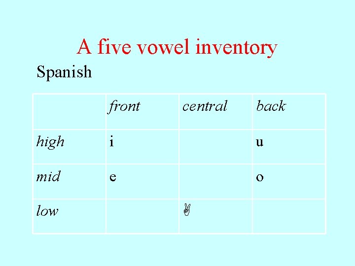 A five vowel inventory Spanish front central back high i u mid e o