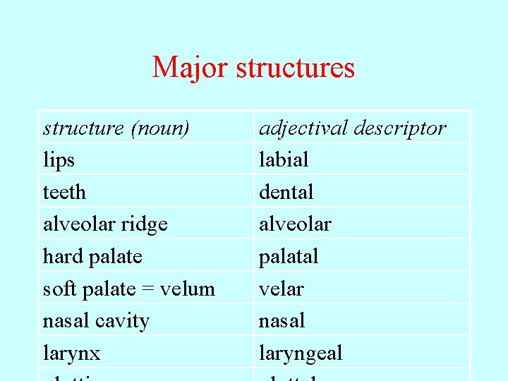 Major structures structure (noun) lips teeth alveolar ridge hard palate soft palate = velum