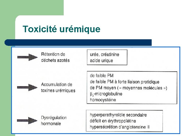 toxine uremique)