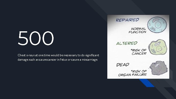 500 Chest x-rays at one time would be necessary to do significant damage such