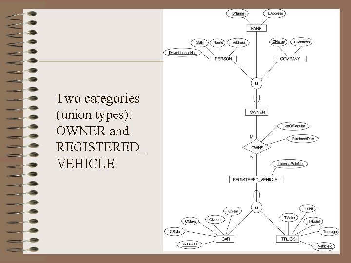 Two categories (union types): OWNER and REGISTERED_ VEHICLE 