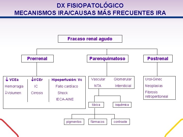 DX FISIOPATOLÓGICO MECANISMOS IRA/CAUSAS MÁS FRECUENTES IRA Fracaso renal agudo Prerrenal VCEa Hemorragia Volumen DX FISIOPATOLÓGICO MECANISMOS IRA/CAUSAS MÁS FRECUENTES IRA Fracaso renal agudo Prerrenal VCEa Hemorragia Volumen