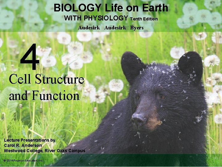 BIOLOGY Life on Earth WITH PHYSIOLOGY Tenth Edition Audesirk Byers 4 Cell Structure and