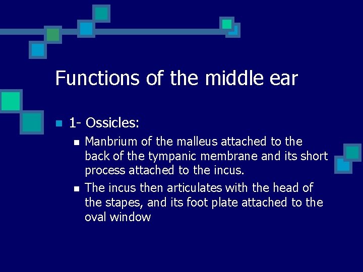 Functions of the middle ear n 1 - Ossicles: n n Manbrium of the