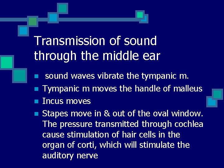 Transmission of sound through the middle ear n n sound waves vibrate the tympanic