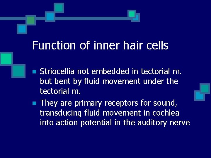 Function of inner hair cells n n Striocellia not embedded in tectorial m. but