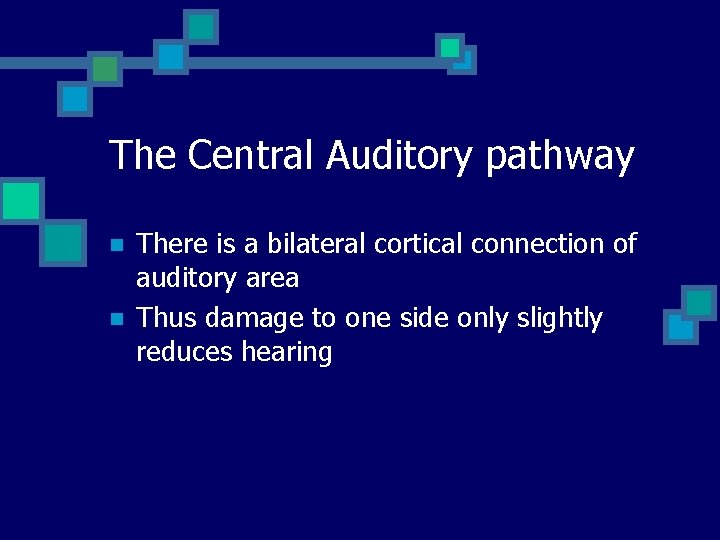 The Central Auditory pathway n n There is a bilateral cortical connection of auditory