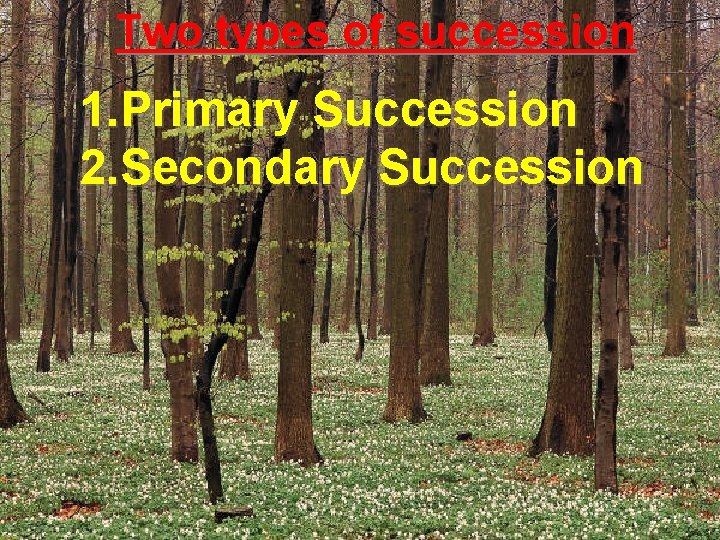 Two types of succession 1. Primary Succession 2. Secondary Succession 