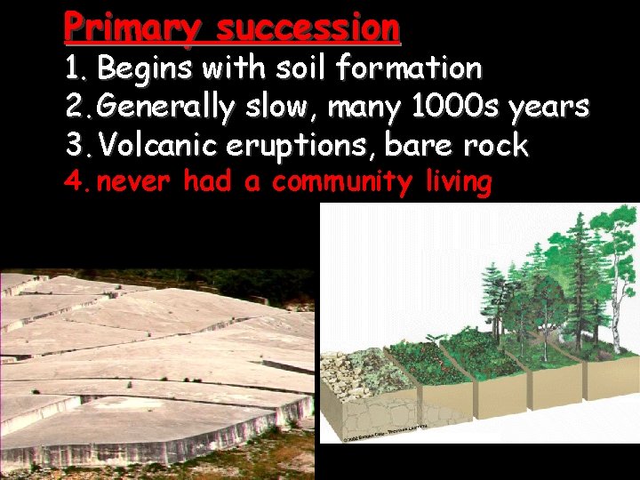 Primary succession 1. Begins with soil formation 2. Generally slow, many 1000 s years