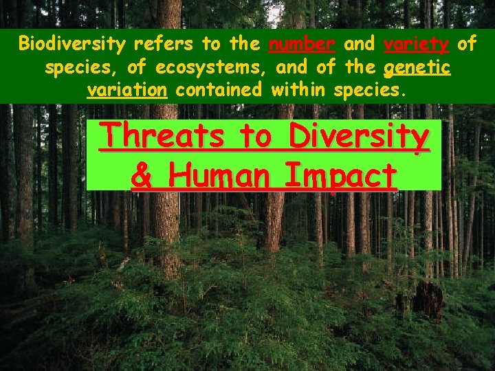 Biodiversity refers to the number and variety of species, of ecosystems, and of the