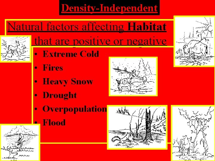 Density-Independent Natural factors affecting Habitat that are positive or negative • • • Extreme