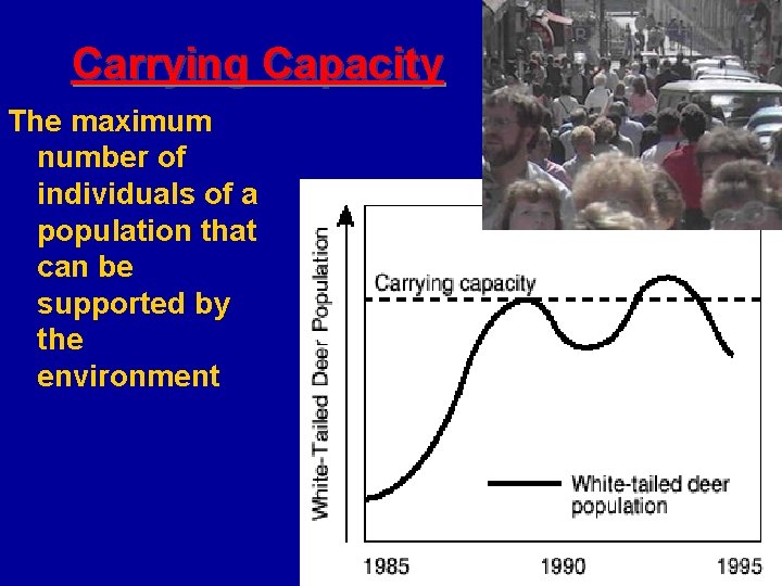 Carrying Capacity The maximum number of individuals of a population that can be supported