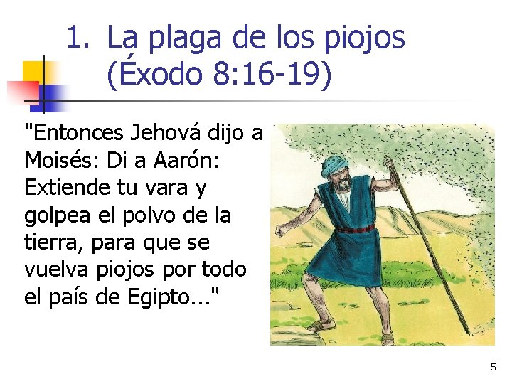 1. La plaga de los piojos (Éxodo 8: 16 -19) "Entonces Jehová dijo a