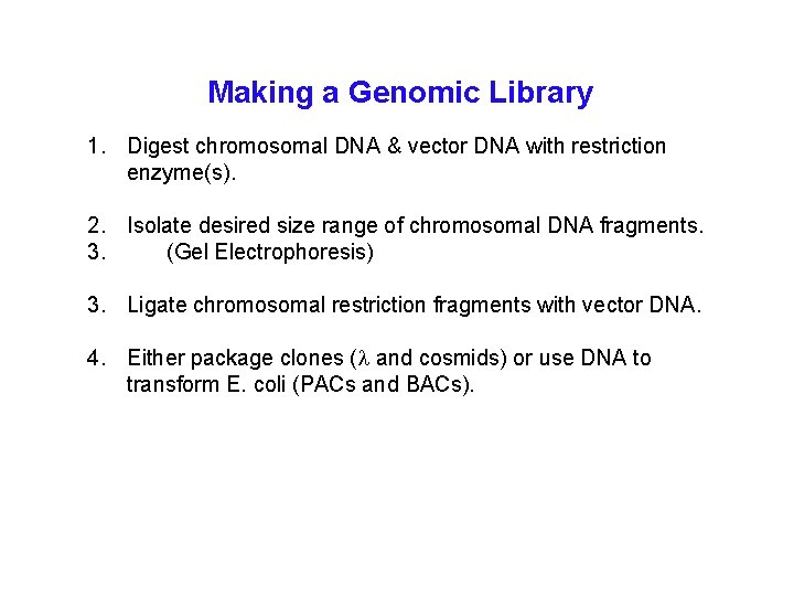 Making a Genomic Library 1. Digest chromosomal DNA & vector DNA with restriction enzyme(s).
