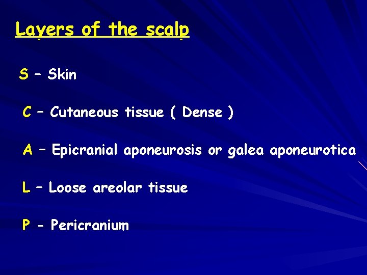 Layers of the scalp S – Skin C – Cutaneous tissue ( Dense )