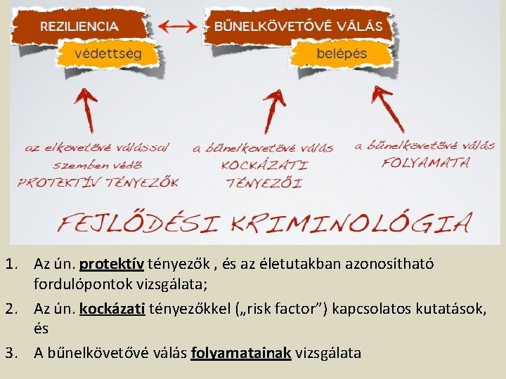 1. Az ún. protektív tényezők , és az életutakban azonosítható fordulópontok vizsgálata; 2. Az