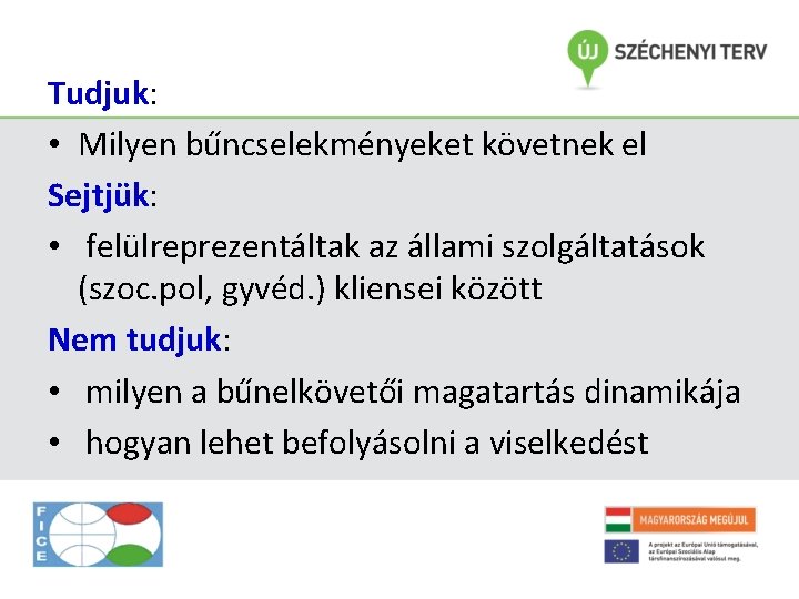 Tudjuk: • Milyen bűncselekményeket követnek el Sejtjük: • felülreprezentáltak az állami szolgáltatások (szoc. pol,