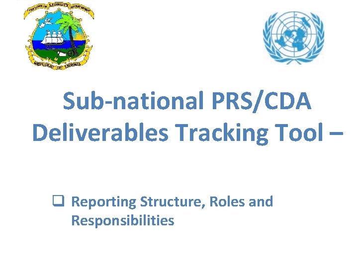 Sub-national PRS/CDA Deliverables Tracking Tool – q Reporting Structure, Roles and Responsibilities 