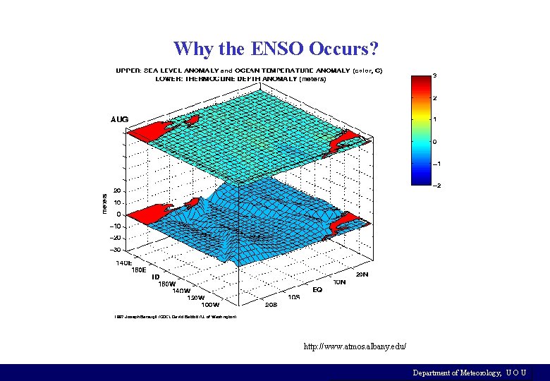 Why the ENSO Occurs? http: //www. atmos. albany. edu/ Department of Meteorology, U O