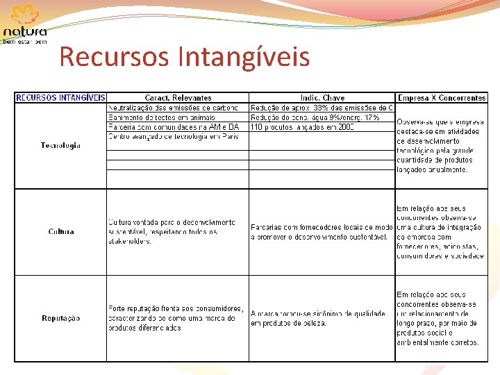 Recursos Intangíveis 