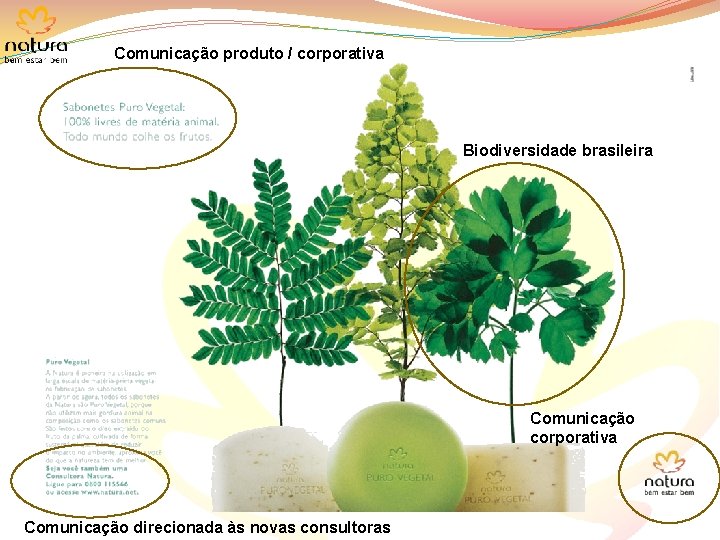 Comunicação produto / corporativa Biodiversidade brasileira Comunicação corporativa Comunicação direcionada às novas consultoras 