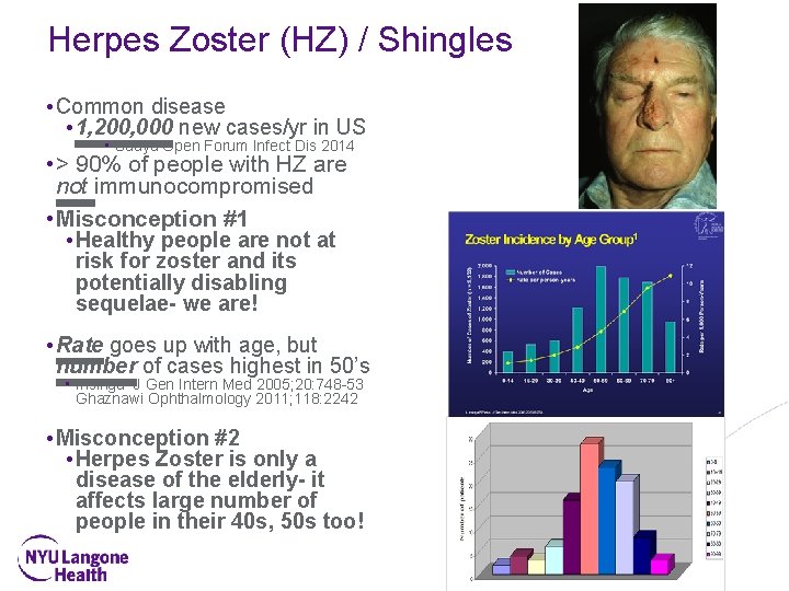 Herpes Zoster (HZ) / Shingles • Common disease • 1, 200, 000 new cases/yr