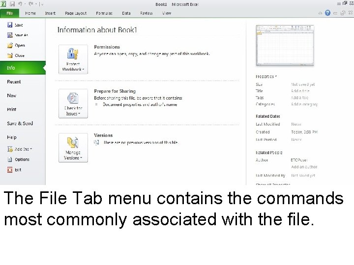 The File Tab menu contains the commands most commonly associated with the file. The File Tab menu contains the commands most commonly associated with the file.