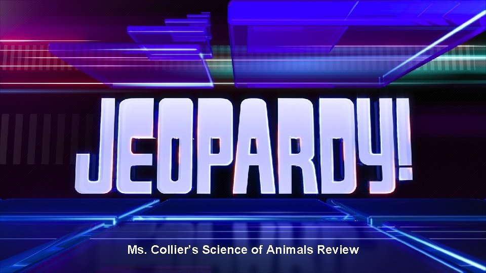 Ms. Collier’s Science of Animals Review 