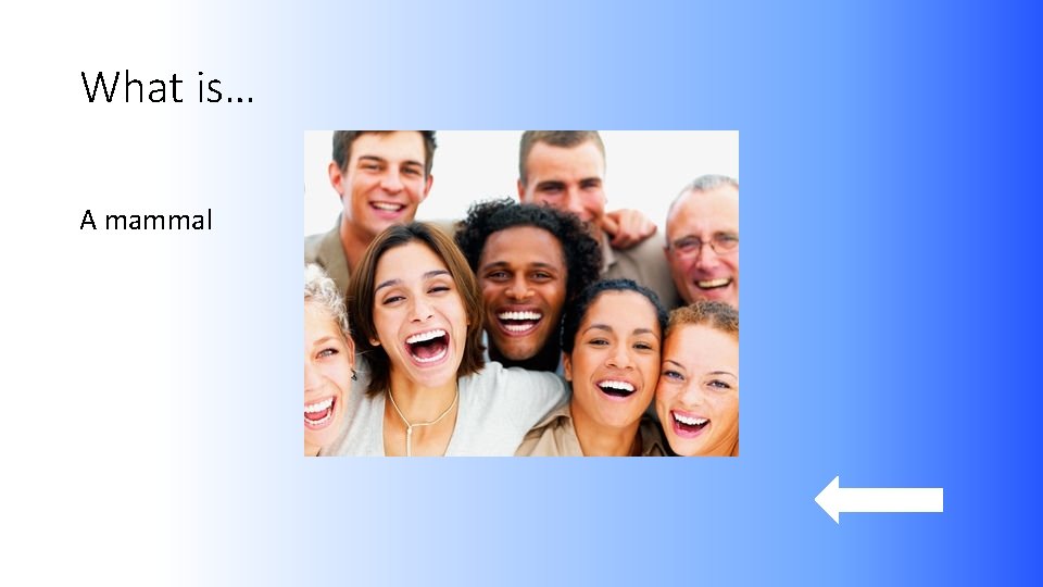 What is… A mammal 