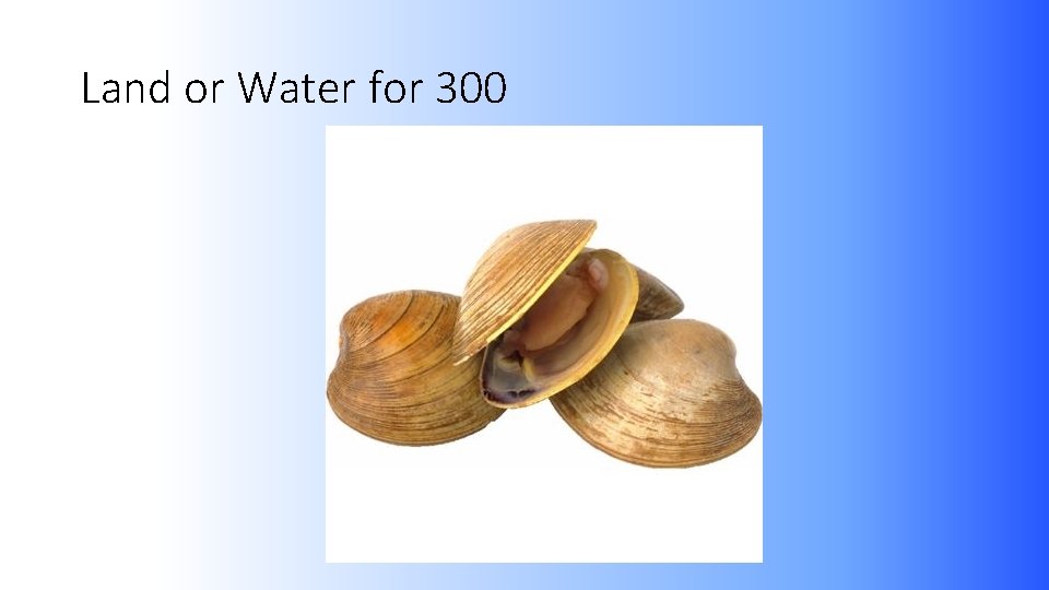 Land or Water for 300 