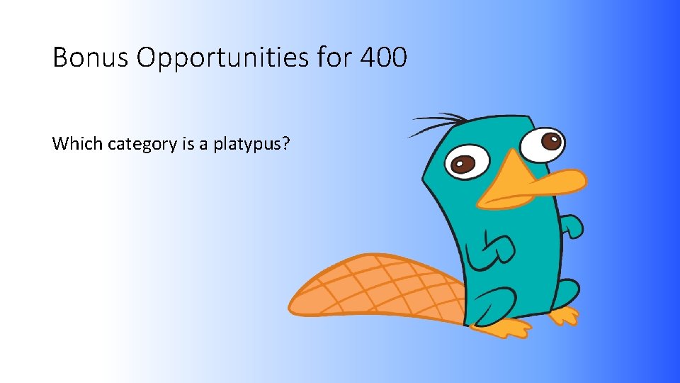 Bonus Opportunities for 400 Which category is a platypus? 