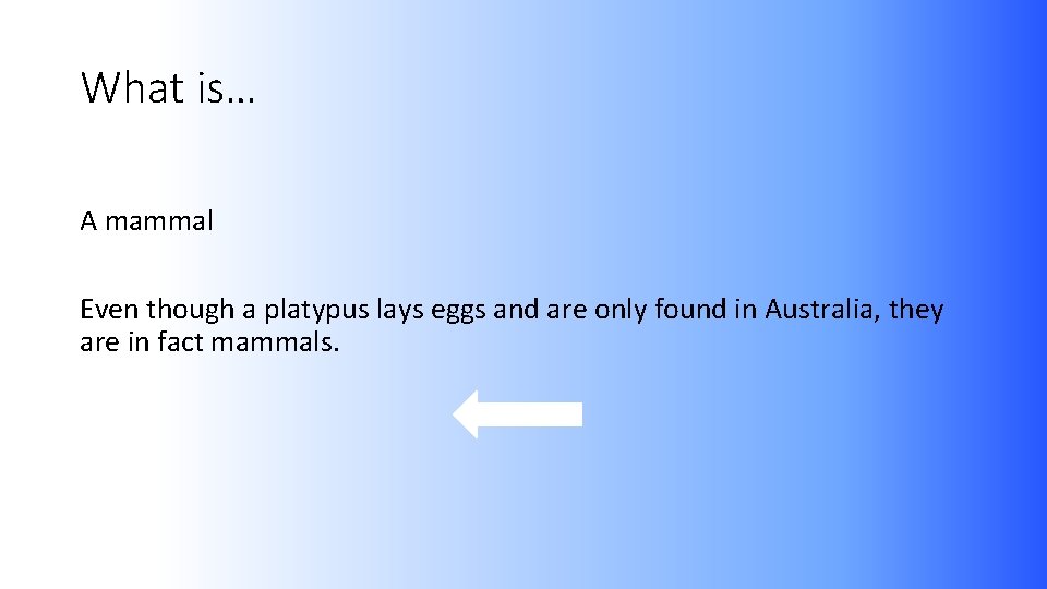 What is… A mammal Even though a platypus lays eggs and are only found