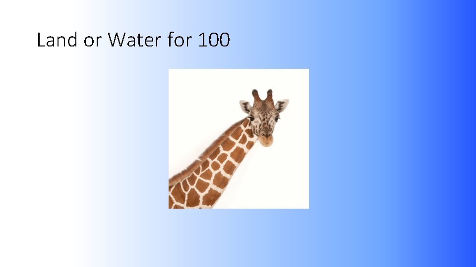 Land or Water for 100 