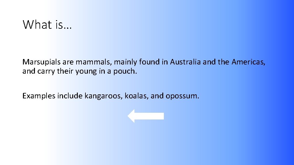 What is… Marsupials are mammals, mainly found in Australia and the Americas, and carry