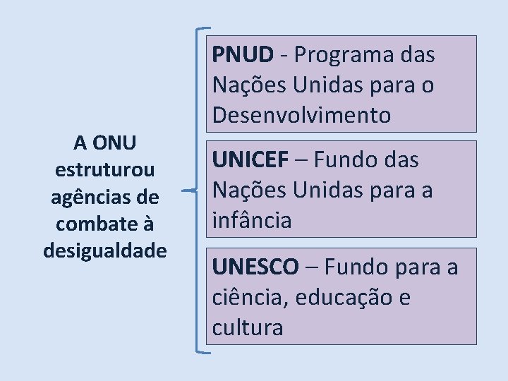 A ONU estruturou agências de combate à desigualdade PNUD - Programa das Nações Unidas