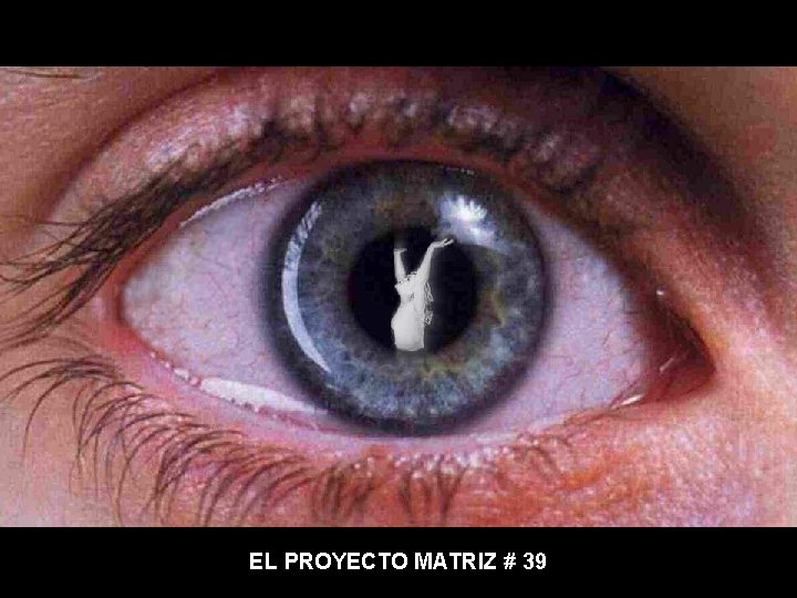 EL PROYECTO MATRIZ # 39 EL PROYECTO MATRIZ # 39