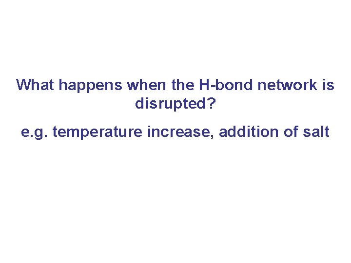 What happens when the H-bond network is disrupted? e. g. temperature increase, addition of