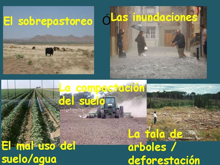 Las inundaciones El sobrepastoreo Ón La compactación del suelo El mal uso del suelo/agua