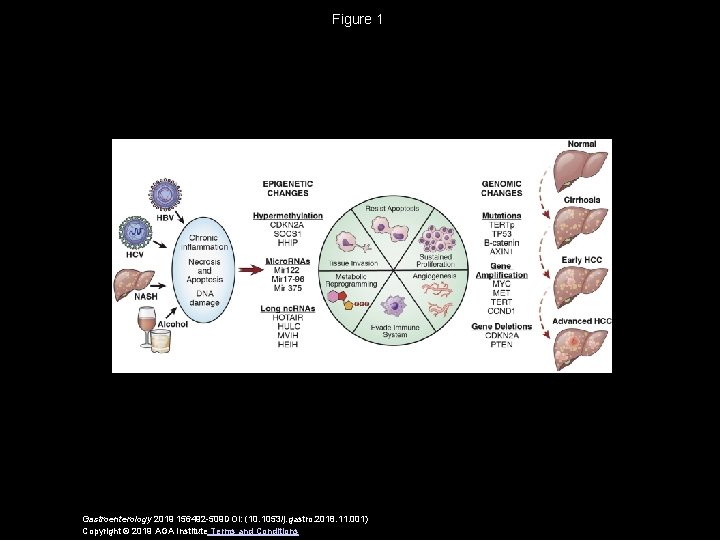 Figure 1 Gastroenterology 2019 156492 -509 DOI: (10. 1053/j. gastro. 2018. 11. 001) Copyright