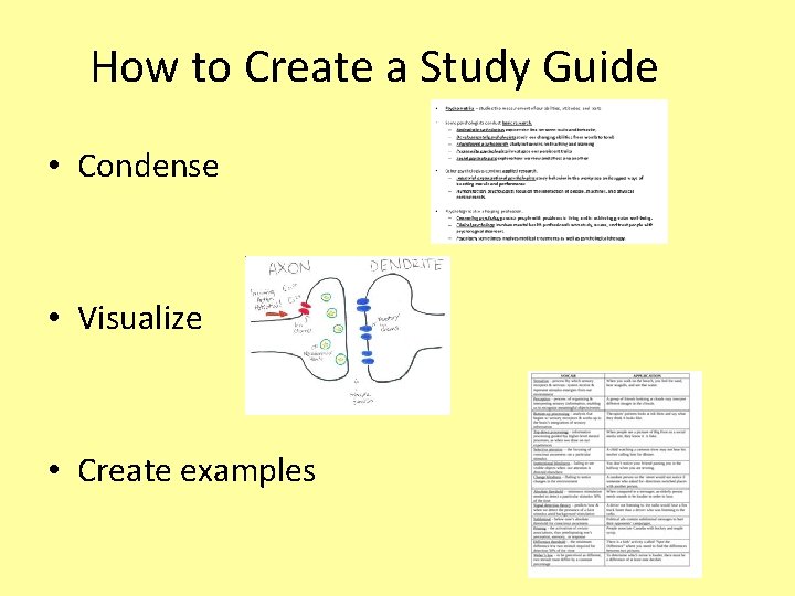 How to Create a Study Guide • Condense • Visualize • Create examples 