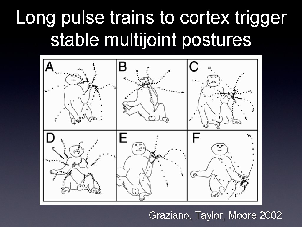 Long pulse trains to cortex trigger stable multijoint postures Graziano, Taylor, Moore 2002 