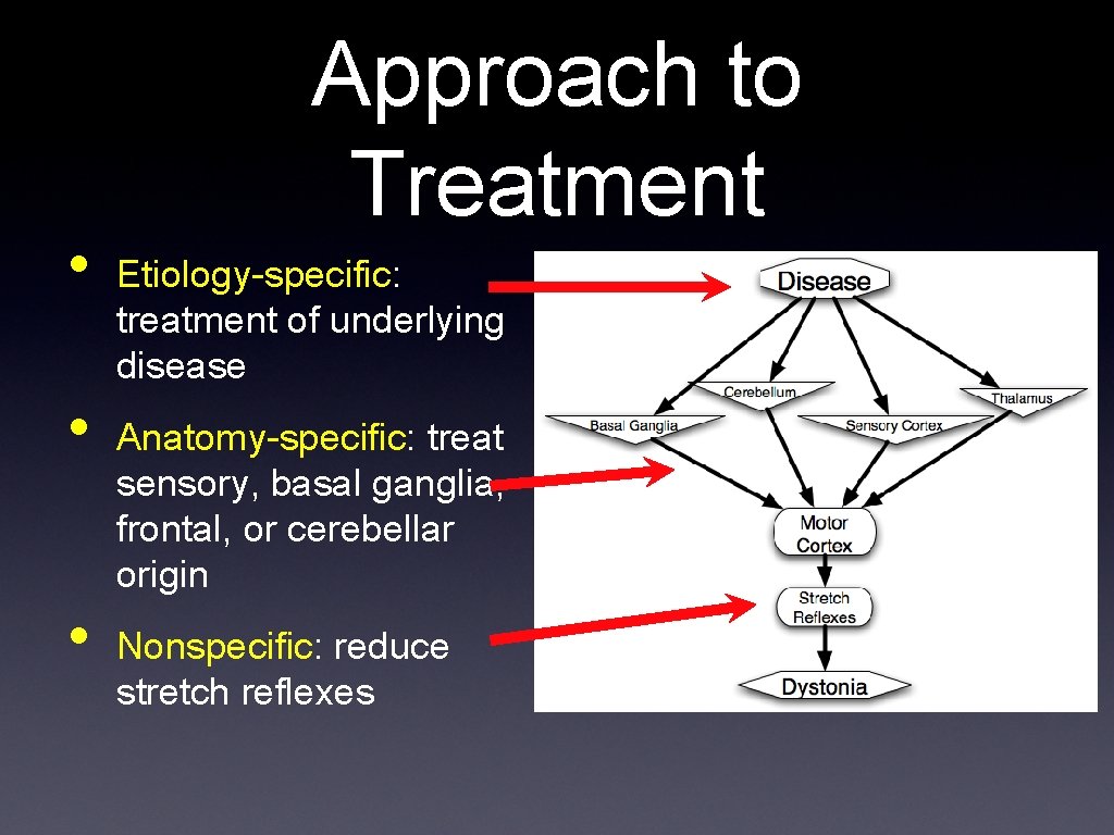  • • • Approach to Treatment Etiology-specific: treatment of underlying disease Anatomy-specific: treat